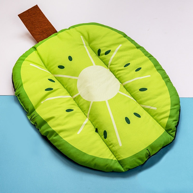 Cute Mat in Fruit / Ice Cream Shape for Pet, Dog, Cat... Suitable for All Seasons of The Year  (Summer, Winter.. )